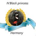 N'Black Princess Harmony