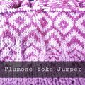 Sur les aiguilles #1 : Plumose Yoke Jumper.