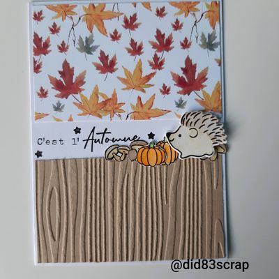 Challenge Carte Maniak #231