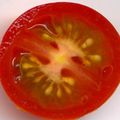 A ma bonne tomate !