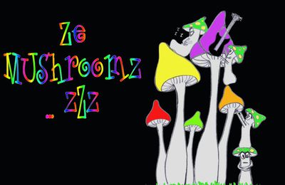 C'est quoi "Ze Mushroomz"????