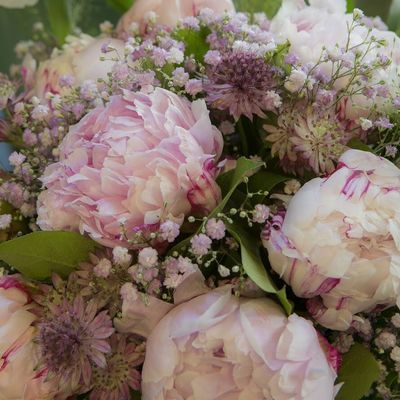 Visite à la Une : Petite Fleur à Besançon