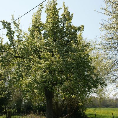 La 1er année du jardin