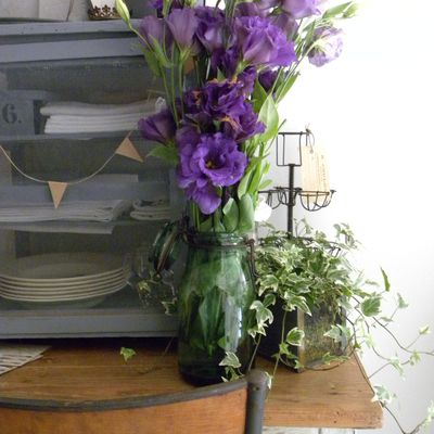 {Janvier, spécial 1 an}