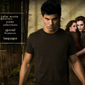 Image DVD New Moon 