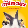 Christelle Chatel - "Le club des animaux: lapins en cavale!" & "Le club des animaux: dauphin en danger!"
