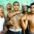 NETTOYAGE ETHNIQUE AUX USA : UN GANG MEXICAIN CIBLE LES NOIRS AMÉRICAINS