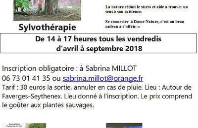 Sylvothérapie, communication avec les arbres 