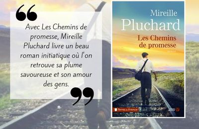 LES CHEMINS DE PROMESSE - MIREILLE PLUCHARD - PRESSES DE LA CITE - COLLECTION TERRES DE FRANCE.