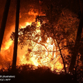 Incendie en Californie