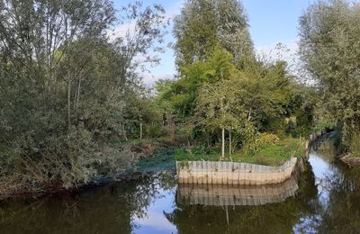 L'eau remonte doucement dans les marais 