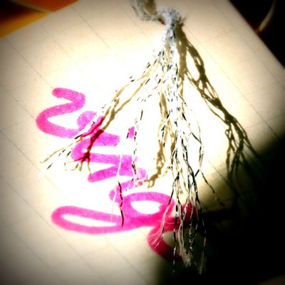 Saveur Sucrée Ou Gourmandise