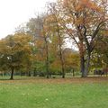 Lyon / Le Parc de la Tête d'Or 