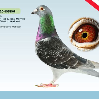 Photo de mon 1er de Marseille à Flandres Lys