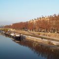 les berges du Rhône