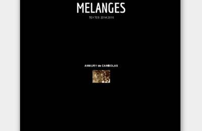 MELANGE III par Amaury de Cambolas