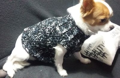 veste pour chien au crochet