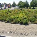 Rond-point à Naas (Irlande)