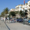 Menton - des visiteurs bien envahissants