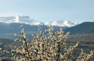 Mélange des saisons - Nendaz, Switzerland