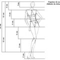 Article: La figurine de mode 