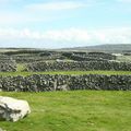 Murs de pierres (Inis Mor, Aran Islands)