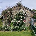 Retour sur le week-end aux jardins