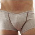 Go Softwear Grey Cardinal V-front boxer small