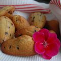 Madeleines aux pépites de chocolat