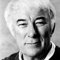 La poésie du jeudi, Seamus Heaney