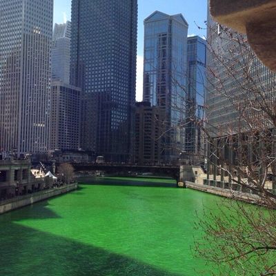 Saint Patrick ☘️