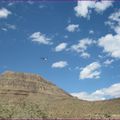 sur les routes d'Arizona