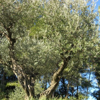 Petite escapade au soleil 