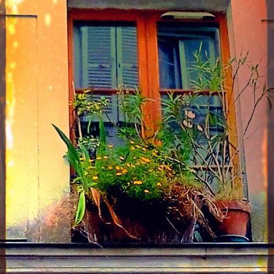 Inspiration parisiennes...d''ici et d'ailleurs...