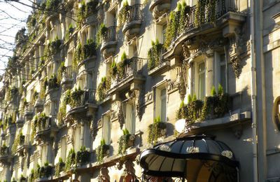 Goûter parisien chic n°12