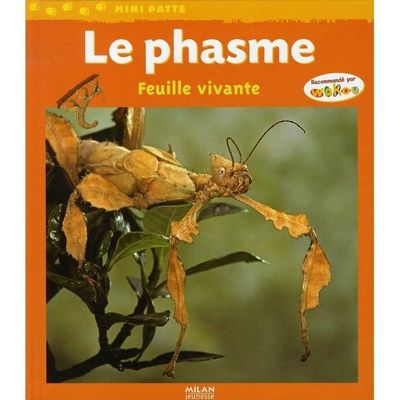 Un livre documenatire sur Les Phasmes pour les cycles 2 et 3 à l'école primaire