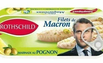 "Macro" au vin blanc courgette oignon et pavé de saumon haricots plats, bon 1er mai !