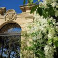 les bougainvilliers dans les jardins du palais Parisio à Naxxar , île de Malte