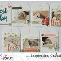 Mini-Album "Best day" et un petit freebie - { DT Inspiration Création }