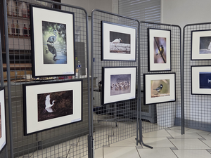 Photographies : ©2025 David de Boisvilliers