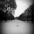 Promenade dans le Jardin des Tuileries