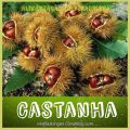 CASTANHA PORTUGUESA / les chatâignes et les marrons