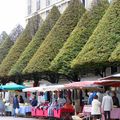 FETE DE LA POMME AU HAVRE