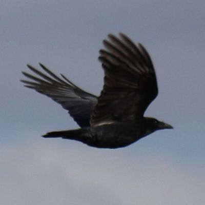 2020/08/25 Nouveauté