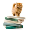 Chats, chiens et livres 