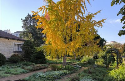 De l'or en ce jardin ...