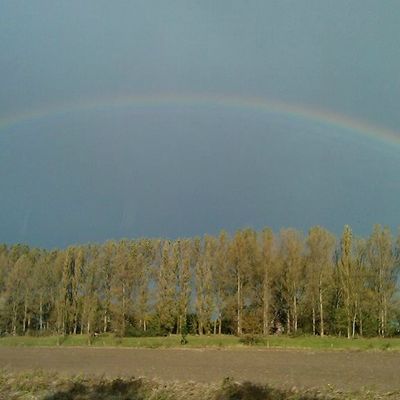 Un petit tour en Zélande