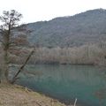 [Ardèche] rencontres animalières au bord des anciens bras du Rhône