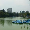 Promenade au parc de Chapultepec, Mexico