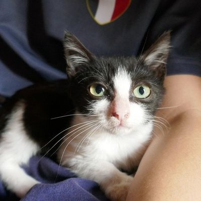 Après-midi du 26 août